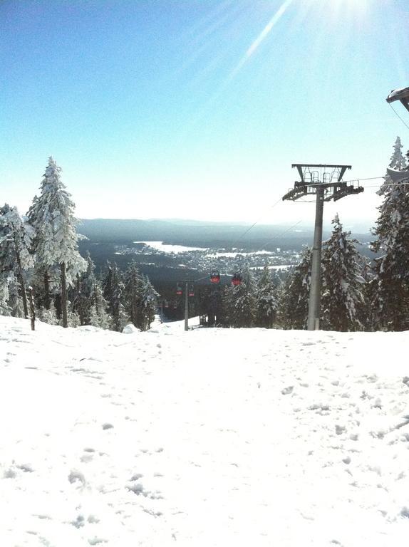 Concordia Harzapart Braunlage Exterior foto